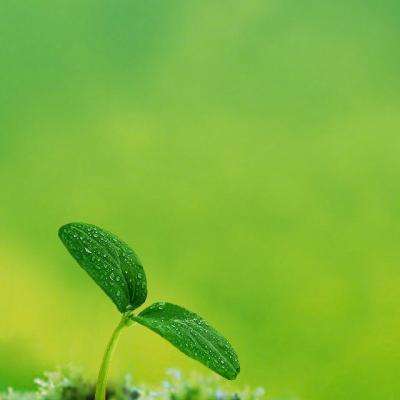 金沙js6666登录入口