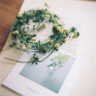 半岛手机网页版登录今日发布