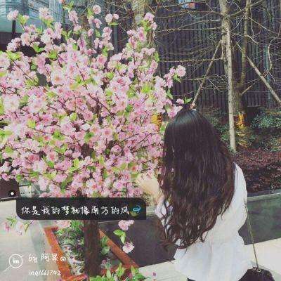 pk10下载官方版下载